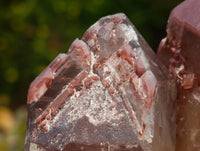 Natural Red Hematoid Quartz Crystals And Clusters x 12 From Karoi, Zimbabwe