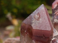 Natural Red Hematoid Quartz Crystals And Clusters x 12 From Karoi, Zimbabwe