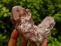 Natural Red Hematoid Quartz Crystals And Clusters x 12 From Karoi, Zimbabwe