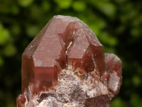 Natural Red Hematoid Quartz Crystals And Clusters x 12 From Karoi, Zimbabwe