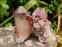 Natural Red Hematoid Quartz Crystals And Clusters x 12 From Karoi, Zimbabwe