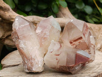 Natural Red Hematoid Quartz Crystals And Clusters x 12 From Karoi, Zimbabwe