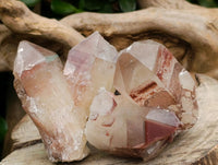 Natural Red Hematoid Quartz Crystals And Clusters x 12 From Karoi, Zimbabwe