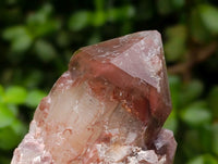 Natural Red Hematoid Quartz Crystals And Clusters x 12 From Karoi, Zimbabwe