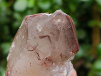 Natural Red Hematoid Quartz Crystals And Clusters x 12 From Karoi, Zimbabwe