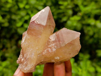Natural Red Hematoid Quartz Crystals And Clusters x 12 From Karoi, Zimbabwe