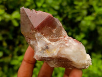 Natural Red Hematoid Quartz Crystals And Clusters x 12 From Karoi, Zimbabwe