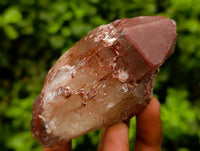 Natural Red Hematoid Quartz Crystals And Clusters x 12 From Karoi, Zimbabwe