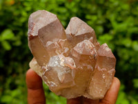 Natural Red Hematoid Quartz Crystals And Clusters x 12 From Karoi, Zimbabwe