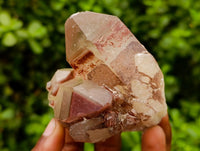 Natural Red Hematoid Quartz Crystals And Clusters x 12 From Karoi, Zimbabwe