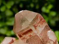 Natural Red Hematoid Quartz Crystals And Clusters x 12 From Karoi, Zimbabwe