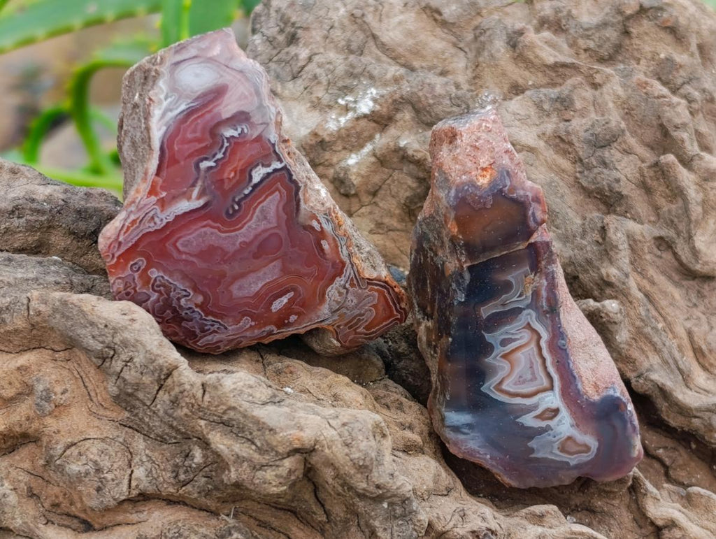 Polished Red Shashe River Agate Nodules x 35 From Shashe River, Zimbabwe