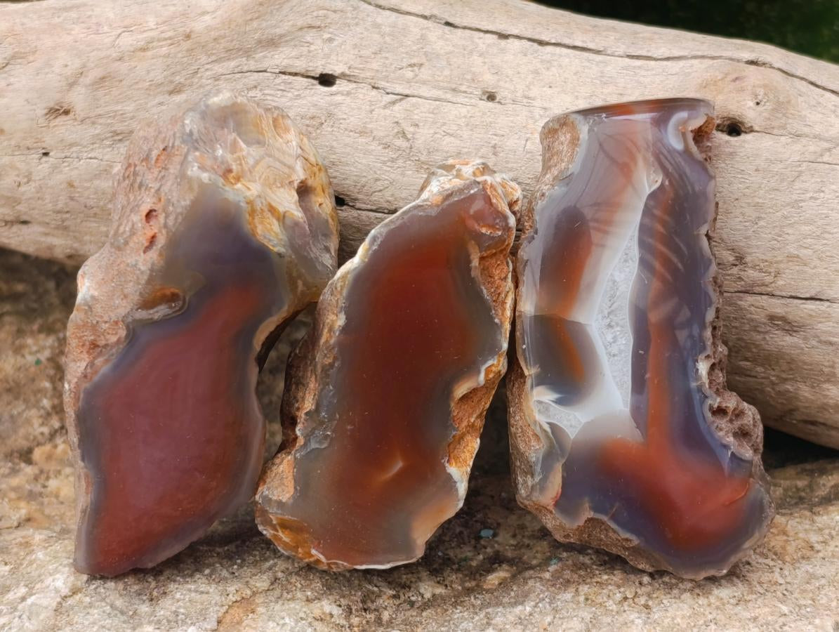 Polished Red Shashe River Agate Nodules x 35 From Shashe River, Zimbabwe