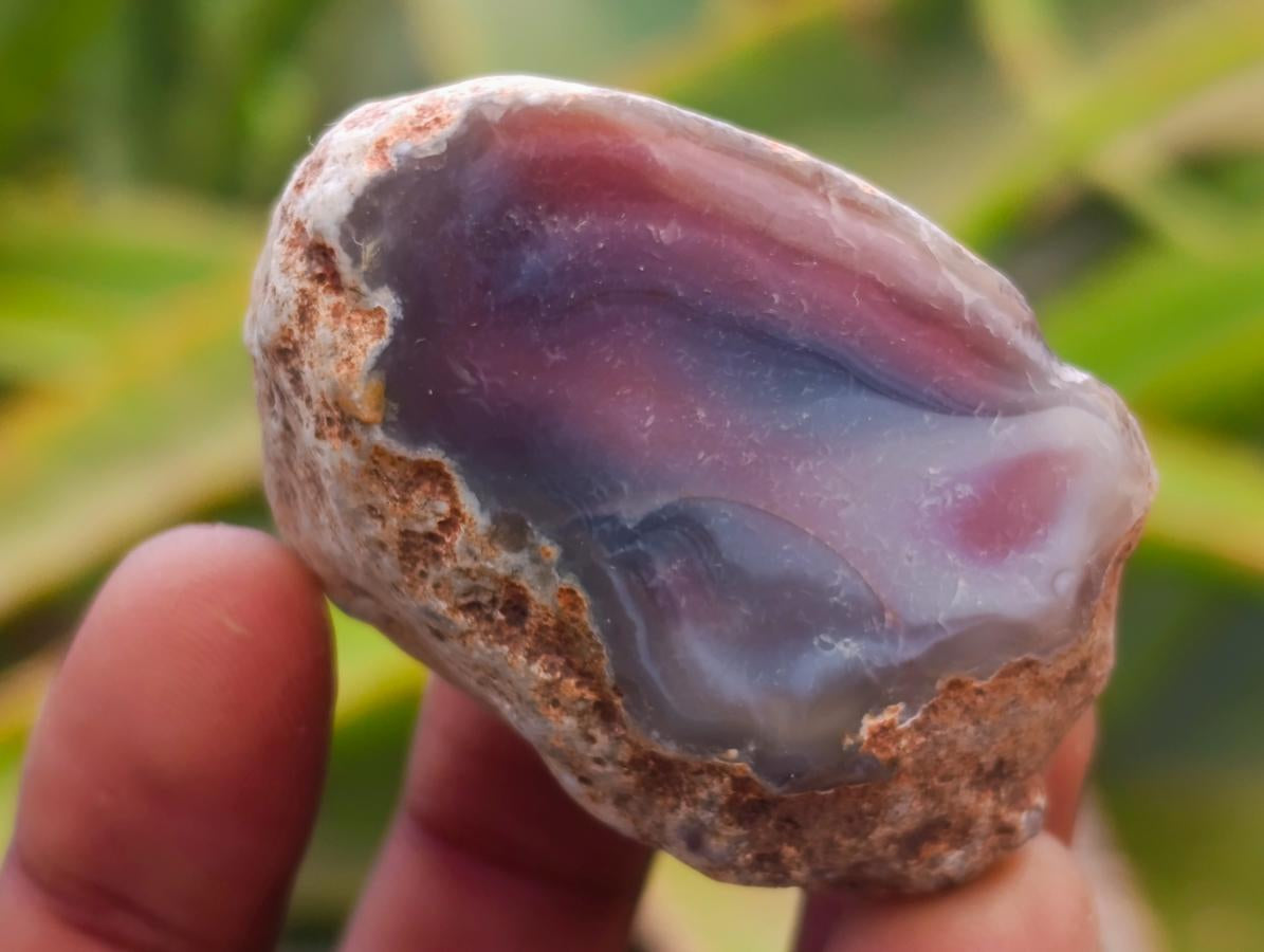Polished Red Shashe River Agate Nodules x 35 From Shashe River, Zimbabwe