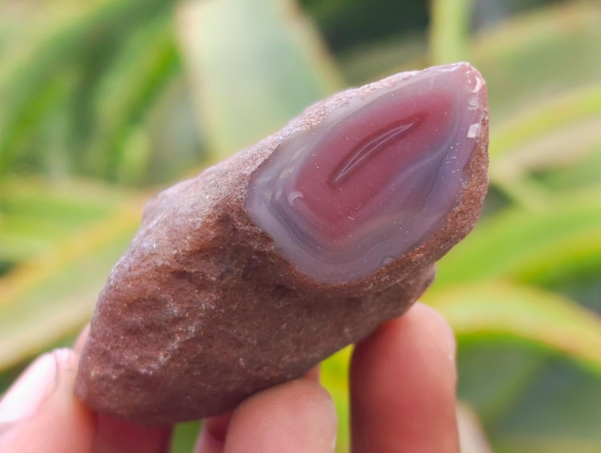 Polished Red Shashe River Agate Nodules x 35 From Shashe River, Zimbabwe