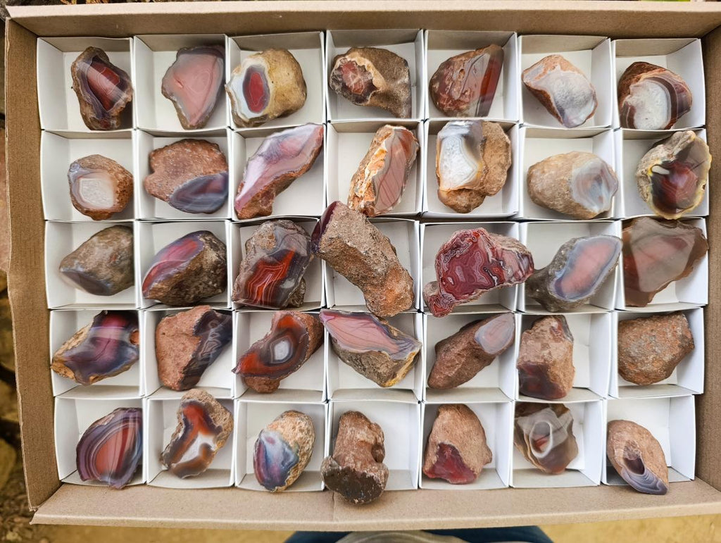 Polished Red Shashe River Agate Nodules x 35 From Shashe River, Zimbabwe