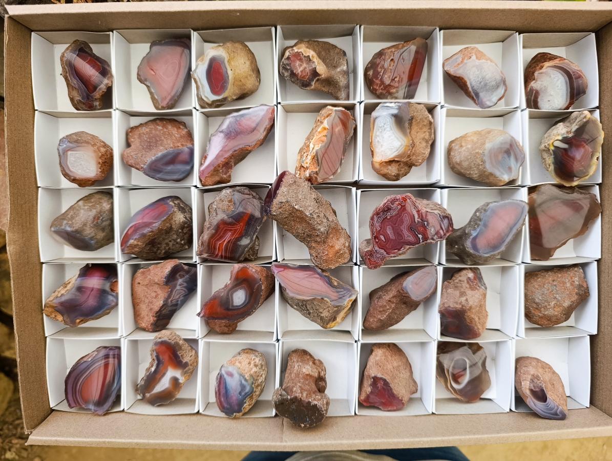 Polished Red Shashe River Agate Nodules x 35 From Shashe River, Zimbabwe