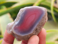 Polished Red Shashe River Agate Nodules x 35 From Shashe River, Zimbabwe