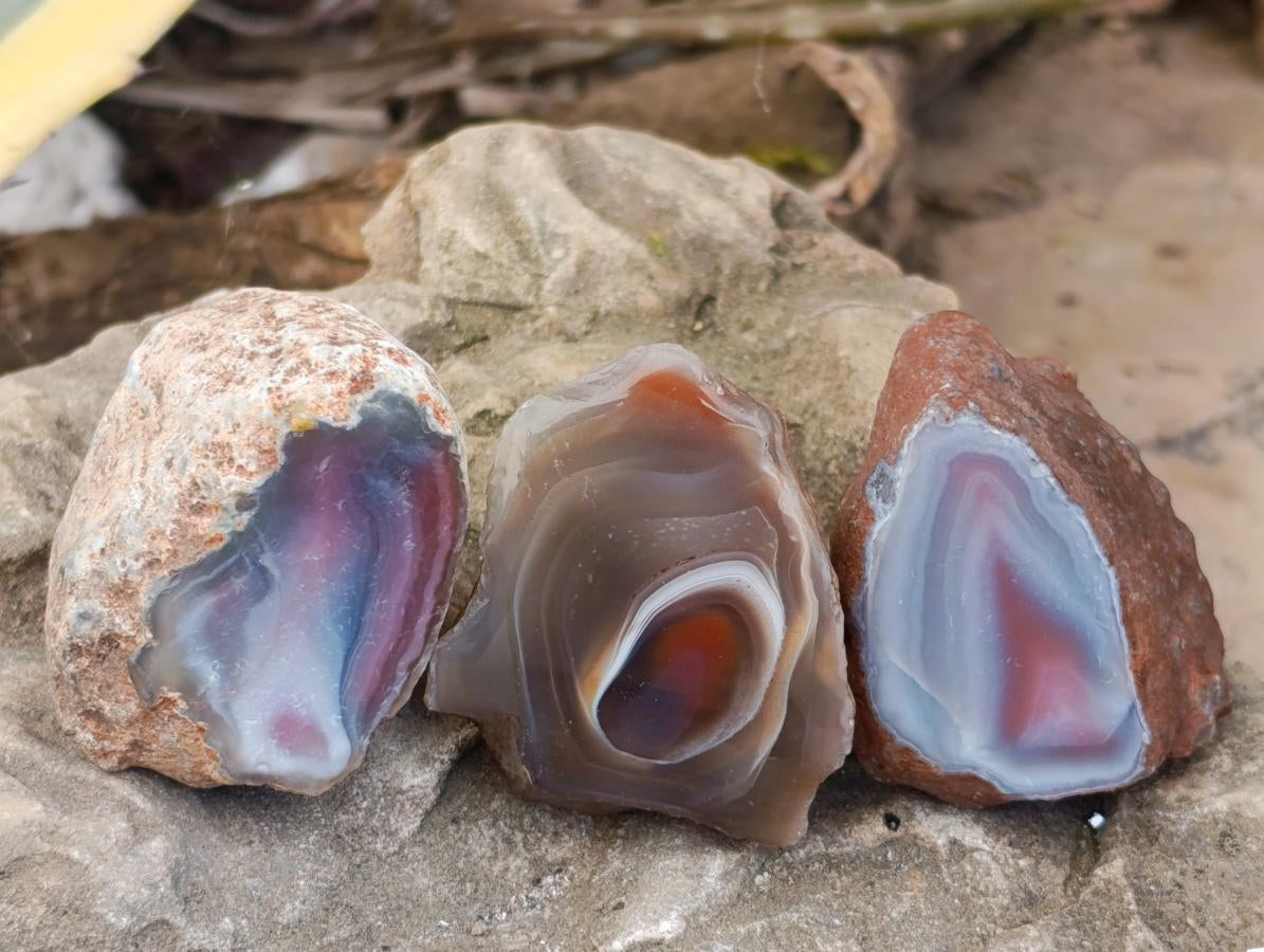Polished Red Shashe River Agate Nodules x 35 From Shashe River, Zimbabwe