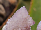 Natural Amethyst and Ametrine Spirit Clusters x 12 From Boekenhouthoek, South Africa