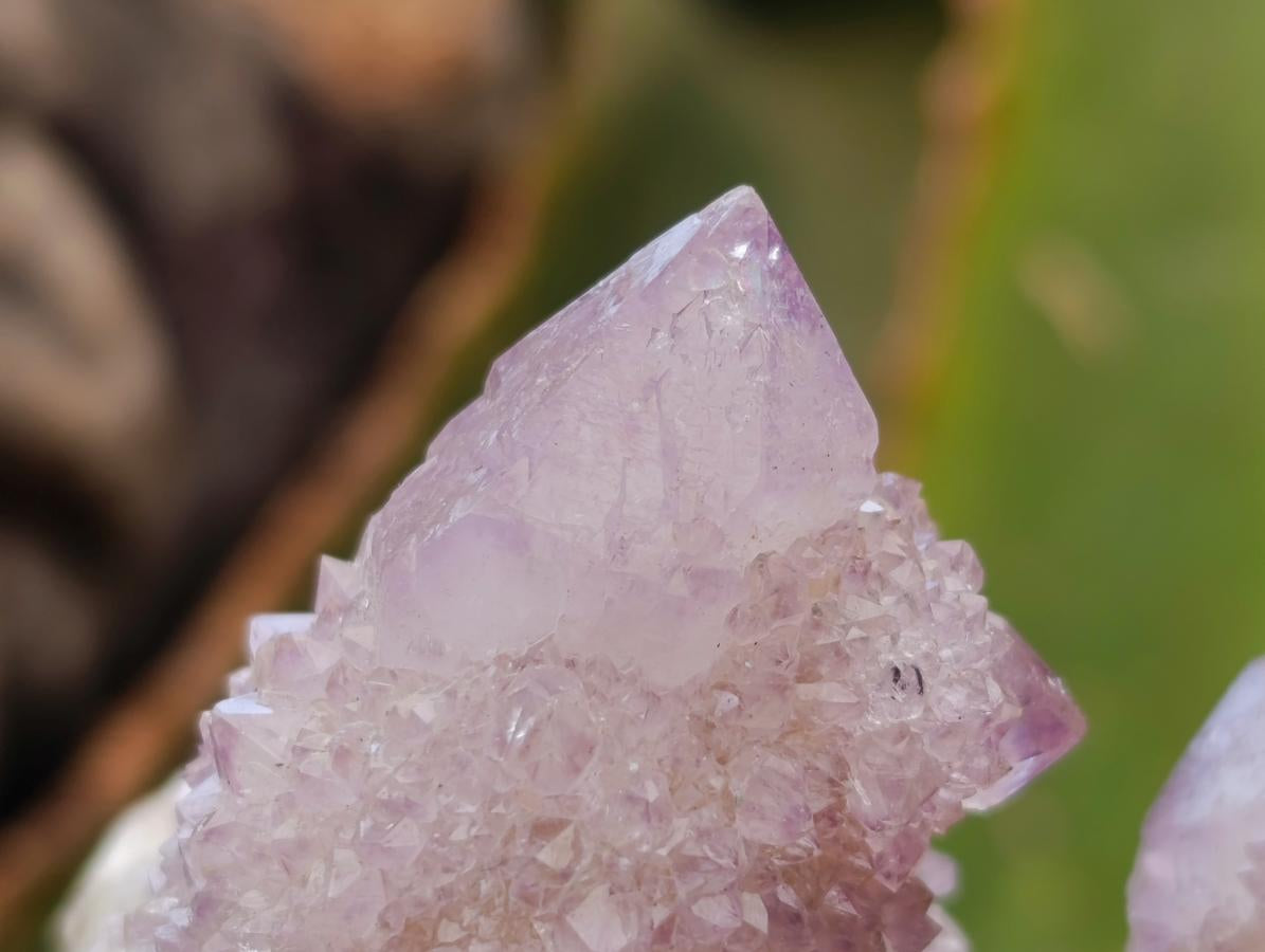 Natural Amethyst and Ametrine Spirit Clusters x 12 From Boekenhouthoek, South Africa