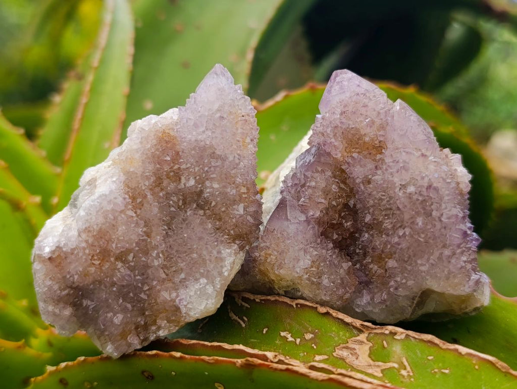 Natural Amethyst and Ametrine Spirit Clusters x 12 From Boekenhouthoek, South Africa