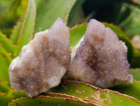 Natural Amethyst and Ametrine Spirit Clusters x 12 From Boekenhouthoek, South Africa