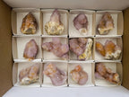 Natural Amethyst and Ametrine Spirit Clusters x 12 From Boekenhouthoek, South Africa