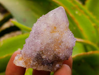 Natural Amethyst and Ametrine Spirit Clusters x 12 From Boekenhouthoek, South Africa