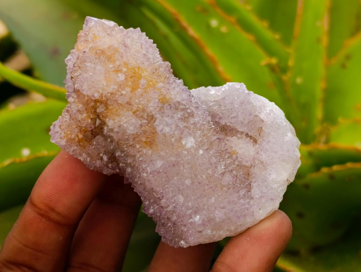 Natural Amethyst and Ametrine Spirit Clusters x 12 From Boekenhouthoek, South Africa