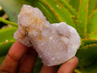 Natural Amethyst and Ametrine Spirit Clusters x 12 From Boekenhouthoek, South Africa