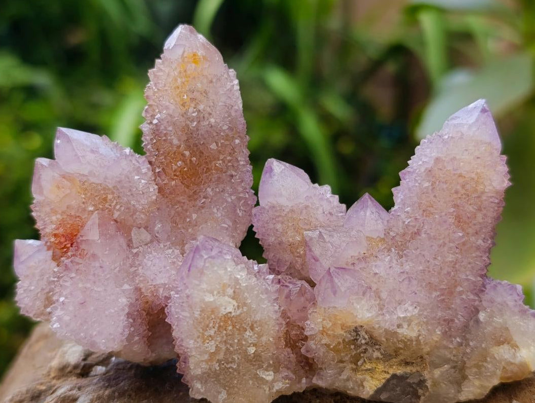 Natural Amethyst and Ametrine Spirit Clusters x 12 From Boekenhouthoek, South Africa