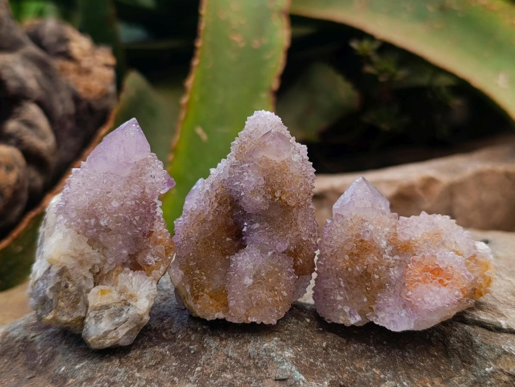 Natural Amethyst and Ametrine Spirit Clusters x 12 From Boekenhouthoek, South Africa