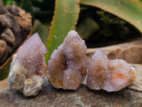 Natural Amethyst and Ametrine Spirit Clusters x 12 From Boekenhouthoek, South Africa