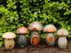 Polished Polychrome Jasper Mushrooms x 5 From NW Coast, Madagascar