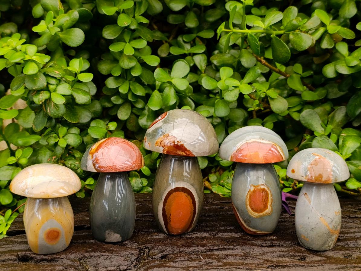 Polished Polychrome Jasper Mushrooms x 5 From NW Coast, Madagascar