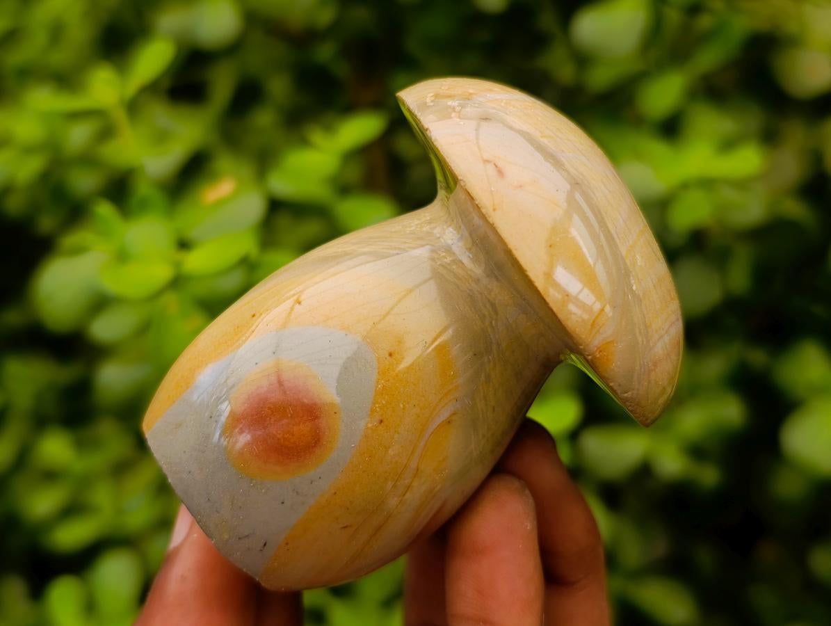 Polished Polychrome Jasper Mushrooms x 5 From NW Coast, Madagascar