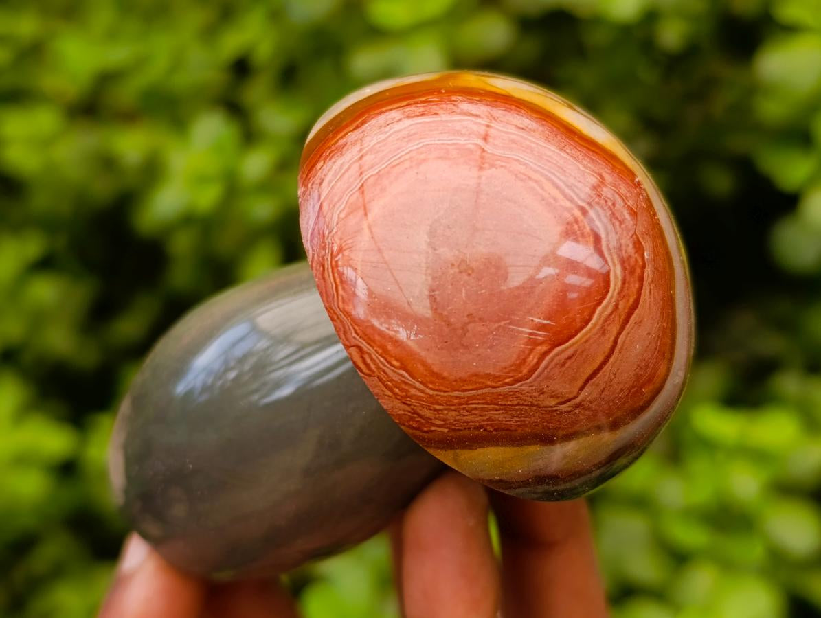 Polished Polychrome Jasper Mushrooms x 5 From NW Coast, Madagascar