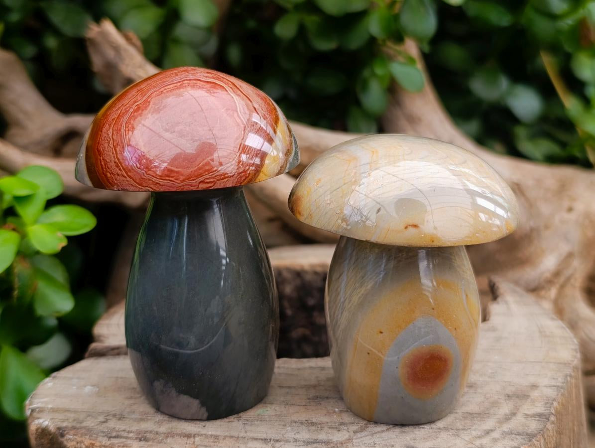 Polished Polychrome Jasper Mushrooms x 5 From NW Coast, Madagascar