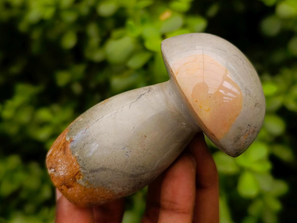Polished Polychrome Jasper Mushrooms x 5 From NW Coast, Madagascar