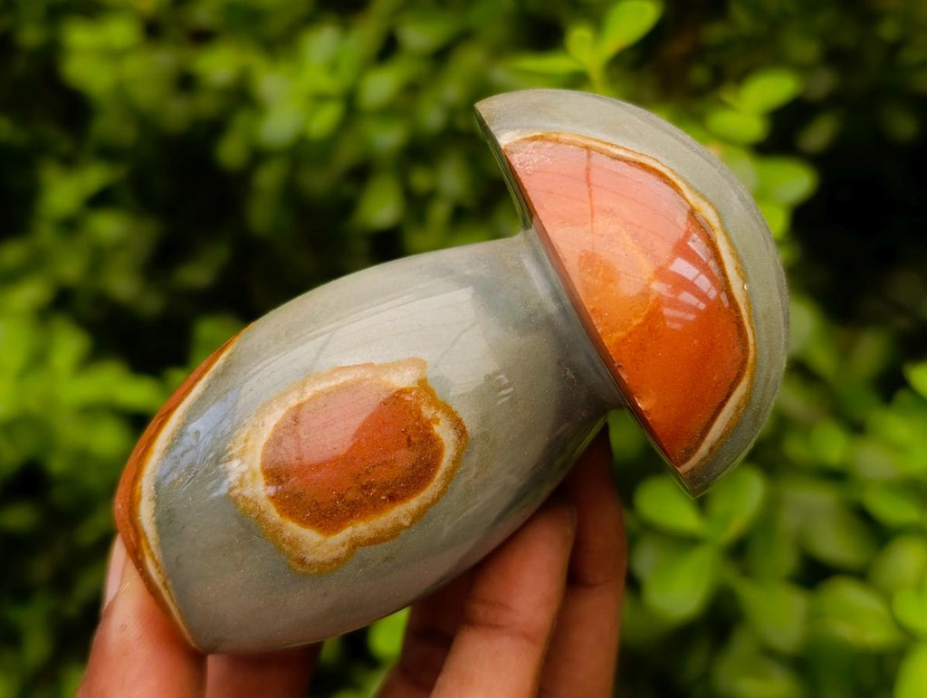 Polished Polychrome Jasper Mushrooms x 5 From NW Coast, Madagascar