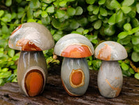 Polished Polychrome Jasper Mushrooms x 5 From NW Coast, Madagascar