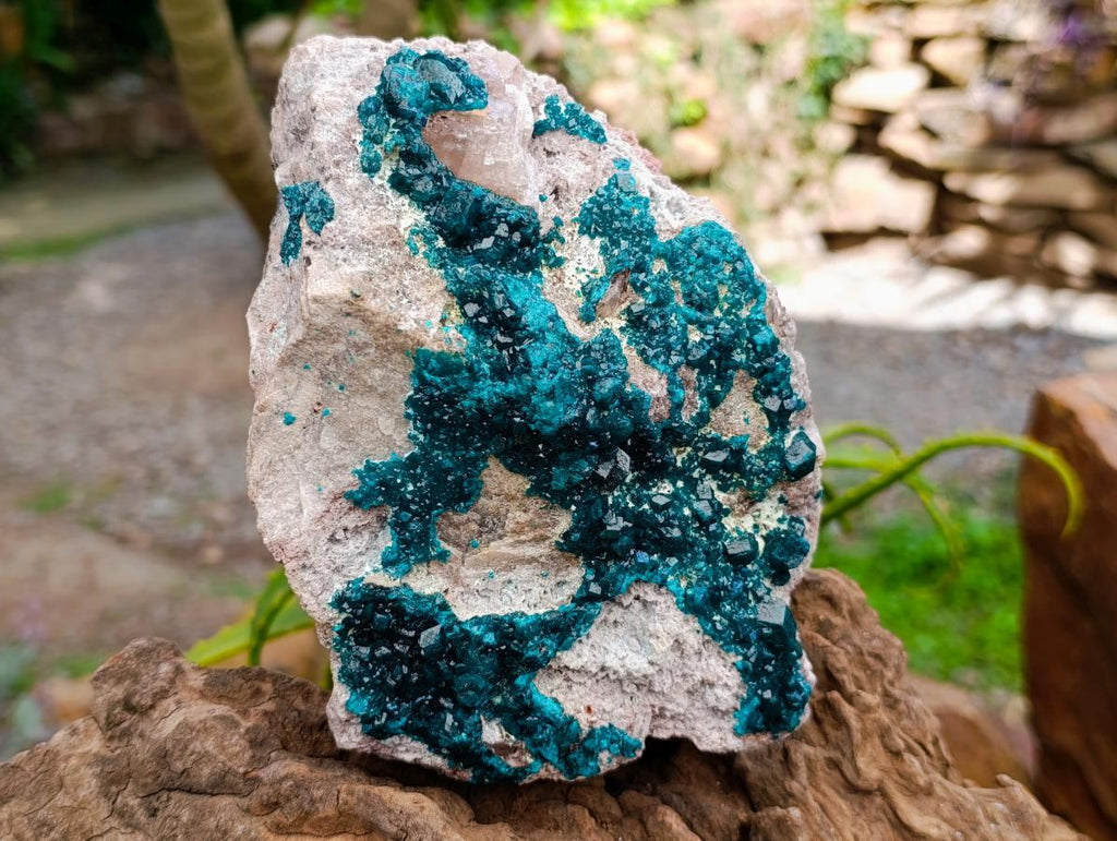 Natural Dioptase On Dolomite Specimen x 1 From Tantara Mine, Congo