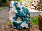 Natural Dioptase On Dolomite Specimen x 1 From Tantara Mine, Congo