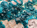 Natural Dioptase On Dolomite Specimen x 1 From Tantara Mine, Congo