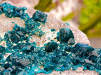 Natural Dioptase On Dolomite Specimen x 1 From Tantara Mine, Congo