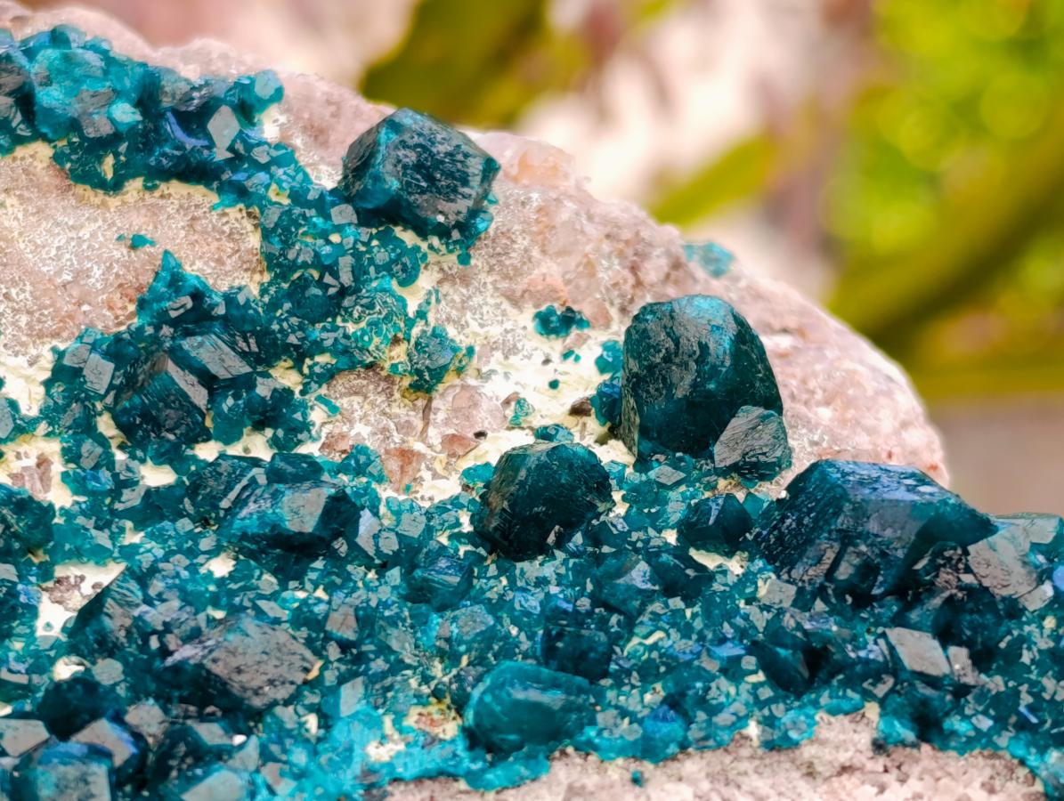 Natural Dioptase On Dolomite Specimen x 1 From Tantara Mine, Congo