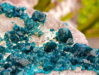 Natural Dioptase On Dolomite Specimen x 1 From Tantara Mine, Congo