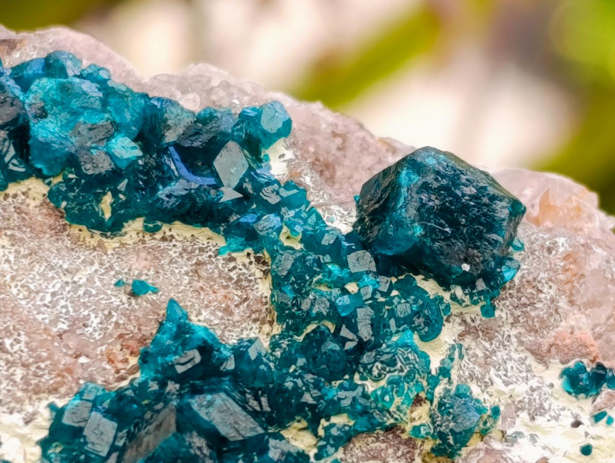 Natural Dioptase On Dolomite Specimen x 1 From Tantara Mine, Congo