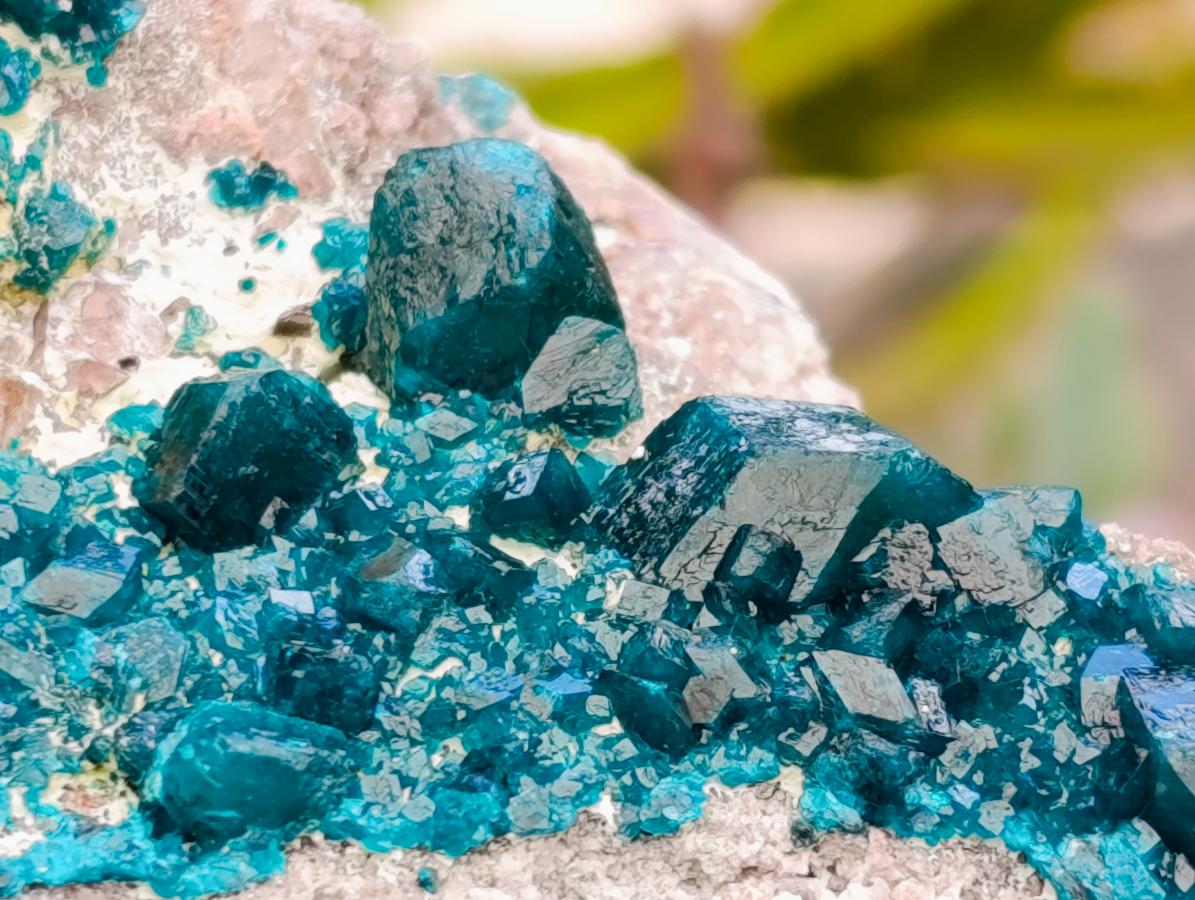 Natural Dioptase On Dolomite Specimen x 1 From Tantara Mine, Congo